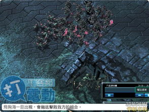 星際爭霸2 自由之翼 教戰(zhàn)守則 神族篇 下