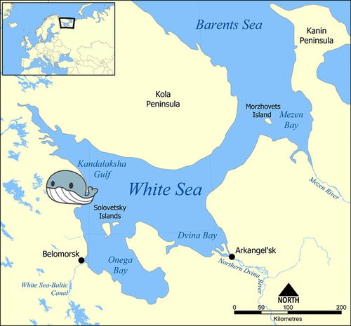 古拉格氣象學家 云中烏托邦