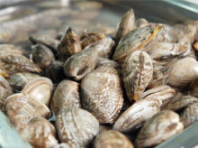 星際之門豆撈自助火鍋午餐 - 昆山團(tuán)購網(wǎng)|京東團(tuán)購