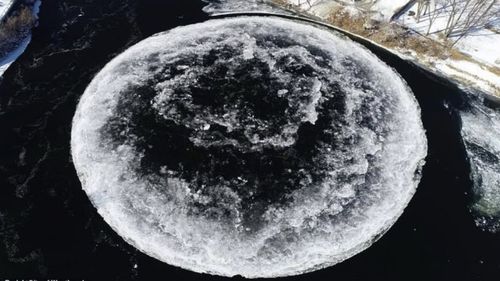 神秘圓盤驚現河流 星際之門還是未知現象？